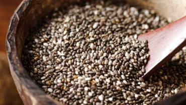 Chia tohumu nedir